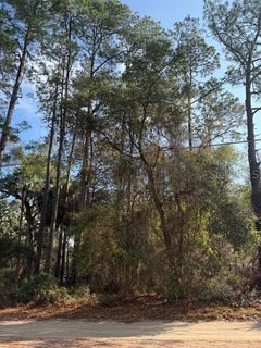 /international/us/tbd-ne-236-terrace-fort-mc-coy-fl-110104602581/