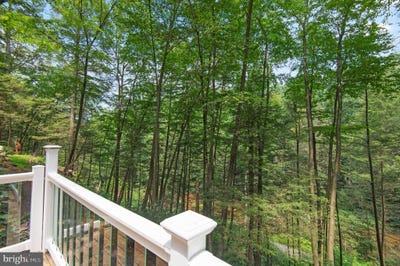 /international/us/545-falls-road-airville-pa-110101219008/