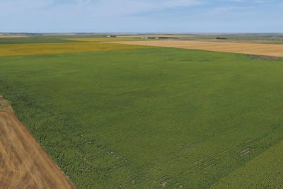 /international/us/land-auction-section-26-115-79-onida-sd-110120408629/