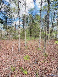 /international/us/cedar-grove-road-lawrenceville-va-110107032448/