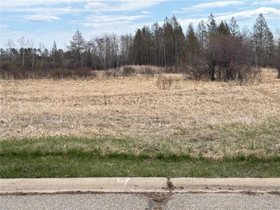 /international/us/lot-9-irvine-avenue-nw-bemidji-mn-110107000582/