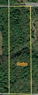 /international/us/10-17-ac-hannigan-road-beaver-island-mi-110108879307/
