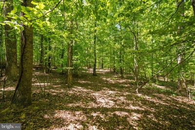 /international/us/letcher-road-e-brandywine-md-110107806637/