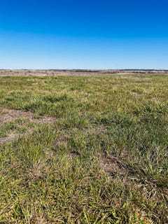 /international/us/tbd-county-road-506-hamilton-tx-110097983464/