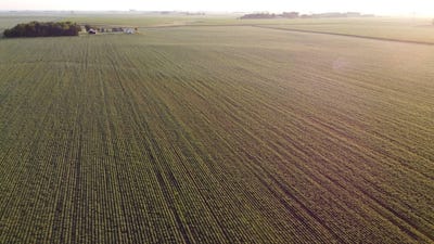 /international/us/tbd-240th-st-brewster-mn-110100724584/?lang=zh-cn