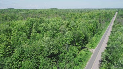 /international/us/40-acres-maple-grove-skandia-mi-110098490580/