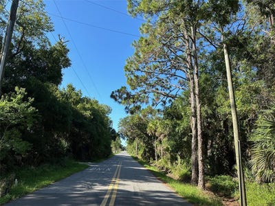 /international/us/dog-leg-trail-osteen-fl-110092965568/?lang=zh-tw