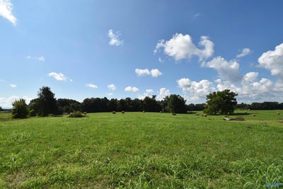 /international/us/28-6-old-quick-road-fayetteville-tn-110089436105/