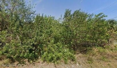 /international/us/unknown-unknown-grant-fl-110095025421/?lang=zh-tw