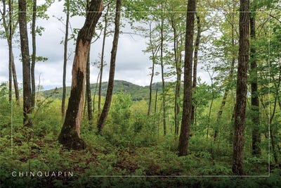 /international/us/glenville-nc-110101009660/
