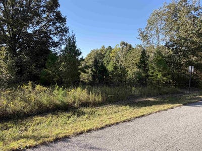 /international/us/plantation-circle-lot-31-melbourne-ar-110120463035/