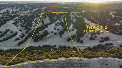/international/us/tract-5-ne-110108029569/