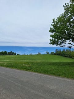 /international/us/mt-tom-road-springfield-center-ny-110091845703/