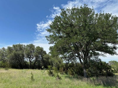 /international/us/unk-county-road-330-bertram-tx-110100126534/