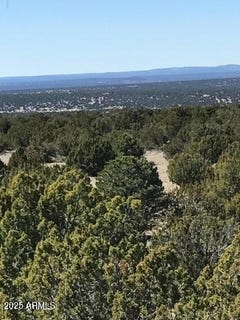 /international/us/lot-20-idlewild-ranch-concho-az-110101097858/