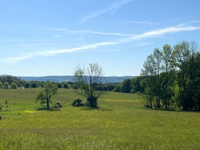 /international/us/1-4-county-road-29-new-berlin-ny-110102821624/
