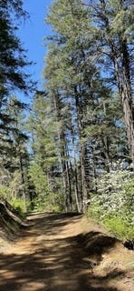 /international/us/3351-fs-road-34n07y-hobo-gulch-ca-110107754762/