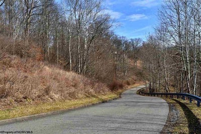 /international/us/45-skyview-drive-mount-clare-wv-110085271360/