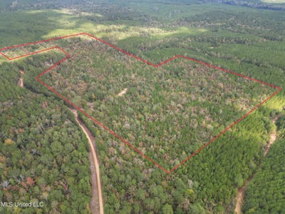 /international/us/222-byrd-road-pinola-ms-110103354642/