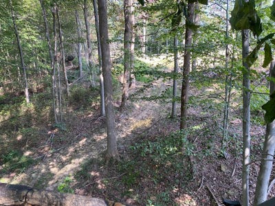 /international/us/4345-mt-unger-rd-otway-oh-110105320389/