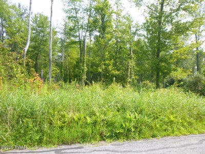 /international/us/tr-401-swoyer-road-jefferson-township-pa-110101371624/?lang=zh-tw