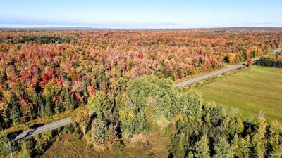 /international/us/misery-bay-road-toivola-mi-110120426653/