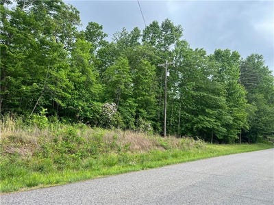 /international/us/gillespie-street-dobson-nc-110107847267/