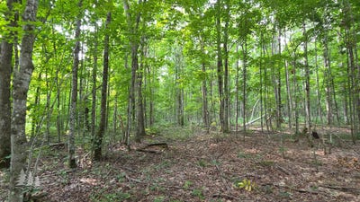 /international/us/2139-myrtle-lane-vanderbilt-mi-110109915481/