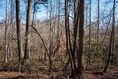 /international/us/morosko-lane-lot-5-pilot-mountain-nc-110104633680/