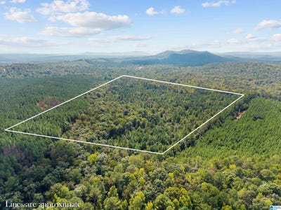 /international/us/okalona-road-lot-0-pell-city-al-110110355637/