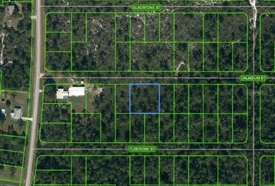 /international/us/1411-caladium-street-lake-placid-fl-110070462581/