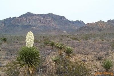 /international/us/van-horn-tx-110090328253/