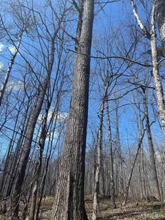 /international/us/victoria-dam-road-rockland-mi-110107994442/