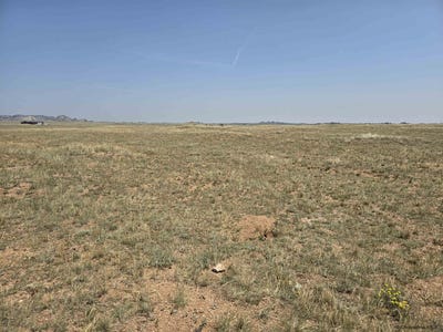 /international/us/tbd-monument-rd-buford-wy-110099954962/