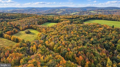 /international/us/163-12-acres-bittinger-road-grantsville-md-110120119412/