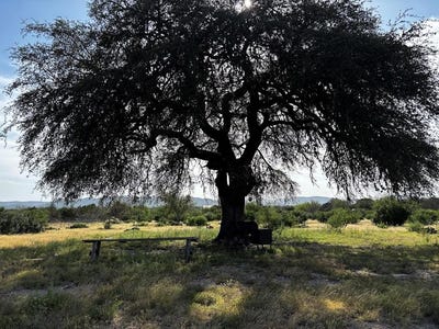/international/us/820-matt-st-camp-wood-tx-110101803893/