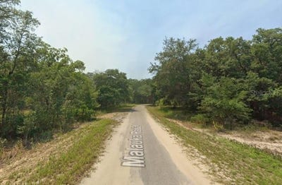 /international/us/malauka-radial-ocklawaha-fl-110107194816/