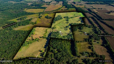 /international/us/frank-mckelvey-road-palmersville-tn-110102652307/