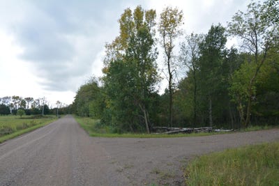 /international/us/130th-avenue-milaca-mn-110107710854/