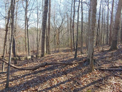 /international/us/truman-hill-rd-lot-1-hardy-va-110107698509/