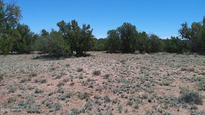 /international/us/rio-ranch-concho-nm-110099862234/
