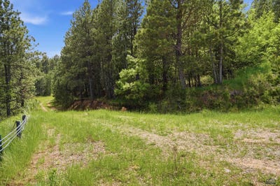 /international/us/lot-30-centennial-vista-ave-spearfish-sd-110104839369/