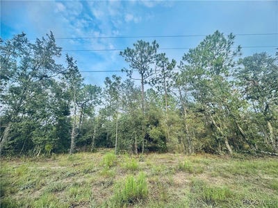 /international/us/se-136th-terrace-dunnellon-fl-110101474070/?lang=zh-cn