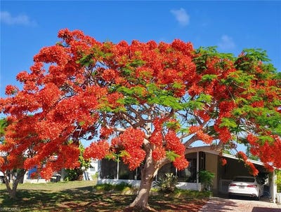 /international/us/26257-queen-mary-ln-lot-7-bonita-springs-fl-110106330228/