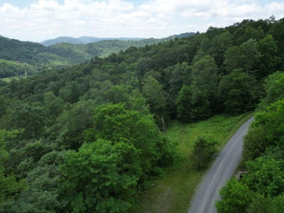 /international/us/lot-117-sunset-mountain-village-slatyfork-wv-110100400897/