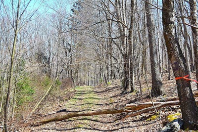 /international/us/2245-crowder-rd-gap-mills-wv-110106816128/