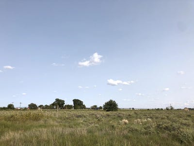 /international/us/clubhouse-road-mcintosh-nm-110080278747/