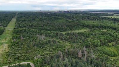 /international/us/quaal-road-forbes-mn-110109194087/