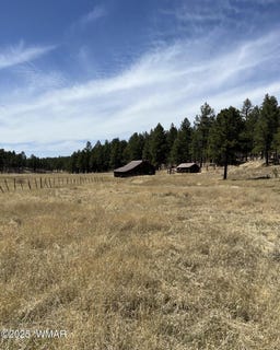 /international/us/lot-b-forest-road-26-alpine-az-110101062777/
