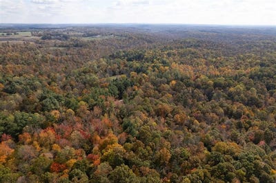 /international/us/askins-road-fordsville-ky-110103366891/